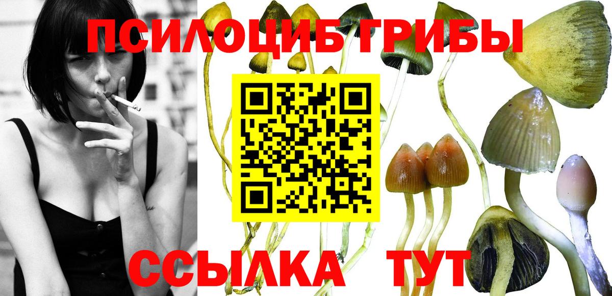 наркота  Вход с VPN  Среднеуральск  Псилоцибиновые грибы MAGIC MUSHROOMS 