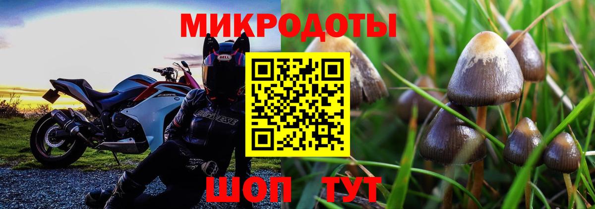 Галлюциногенные грибы GOLDEN TEACHER Среднеуральск